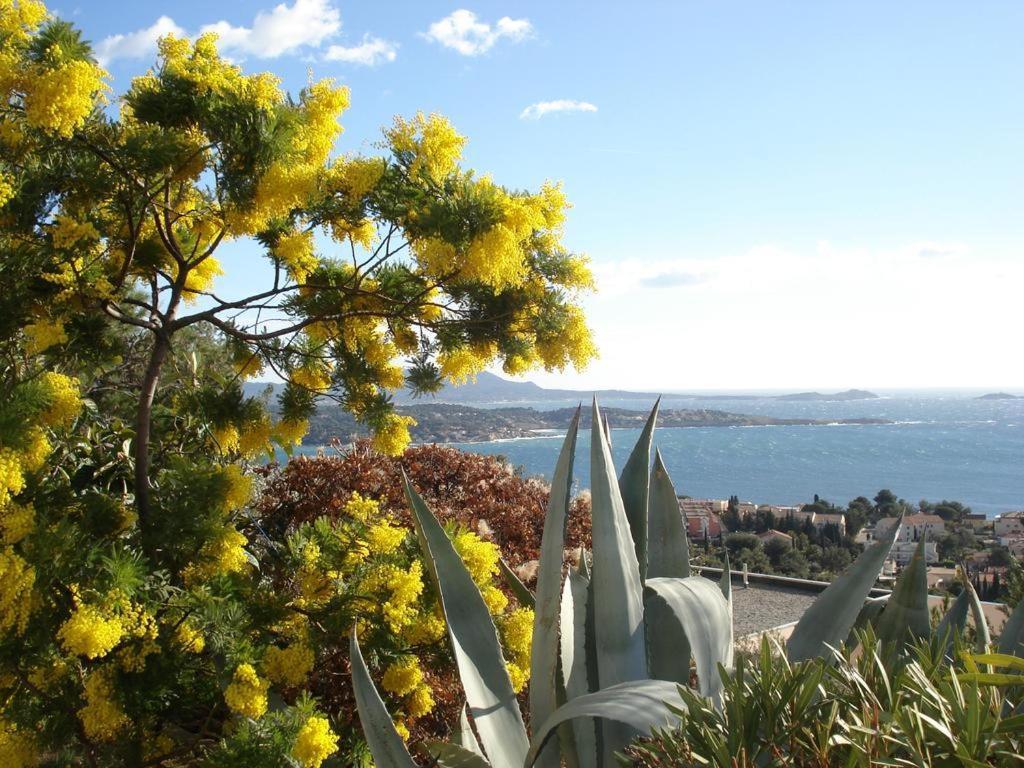 T2 Bandol Ideal Vacances 2 Etoiles Екстериор снимка