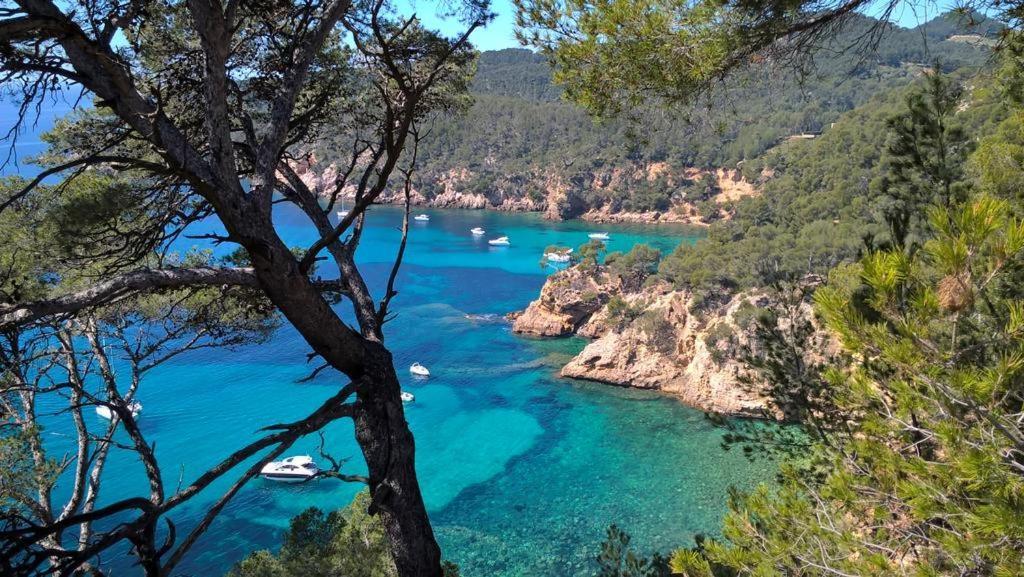 T2 Bandol Ideal Vacances 2 Etoiles Екстериор снимка